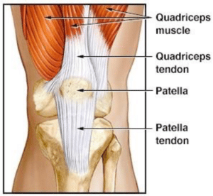 runners knee