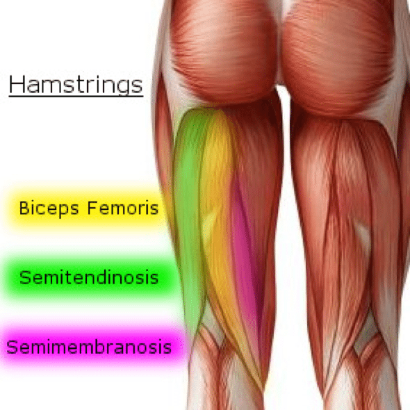 Knee Pain Caused by a Hamstring Injury - Wayne, NJ - High Mountain